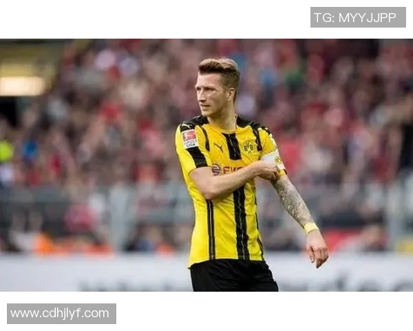 施密特呼吁多特蒙德进一步提升实力