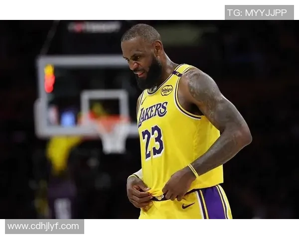 湖人对决猛龙精彩录像回顾分析全场精彩瞬间与关键时刻解读