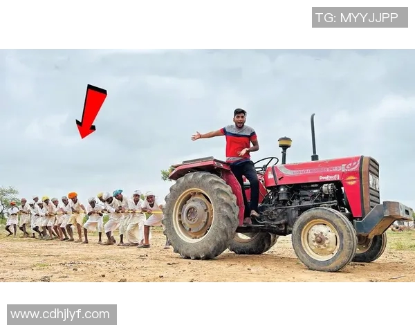 拖拉机与加拉法的较量:谁能在现代农业中胜出